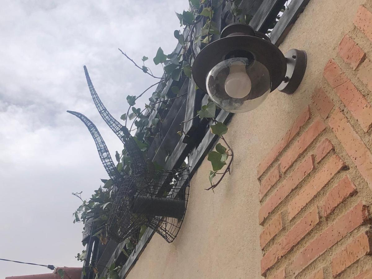 Casa Rural Atelier - Jardin Y Terraza Velliza 外观 照片
