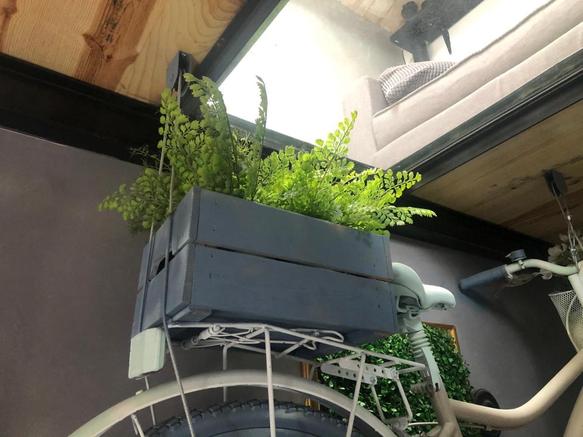 Casa Rural Atelier - Jardin Y Terraza Velliza 外观 照片